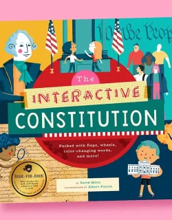 Illustration for the book “The Interactive Constitution”